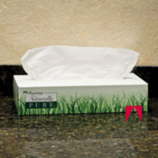 Picture of Naturally Pure, Facial Tissue, White - GP