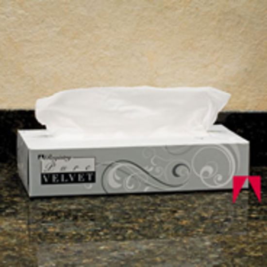 Picture of Pure Velvet, Facial Tissue, White - GP