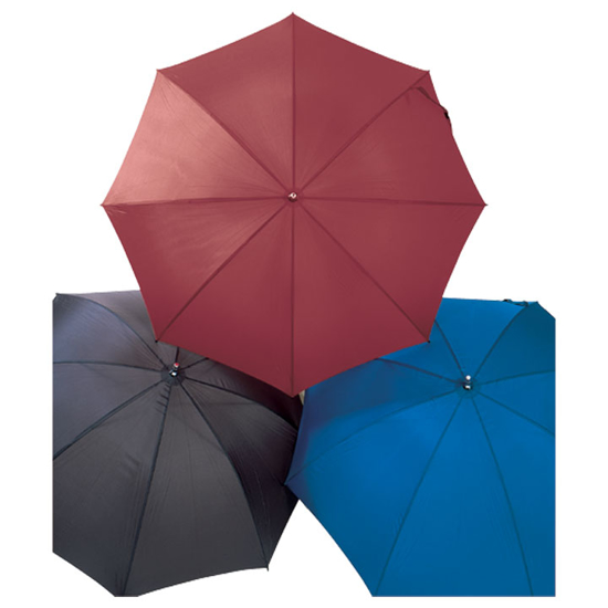 Picture of Coachman's Umbrellas