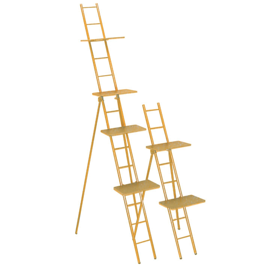 Picture of Ladder Racks