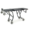 Picture of Model 24H-MiniMAXX, Heavy Duty Cot