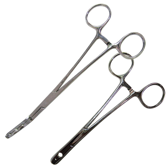Picture of Fixation Forcep