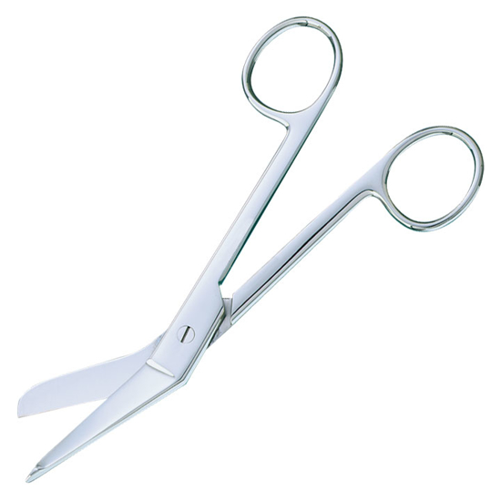 Picture of Lister Scissors